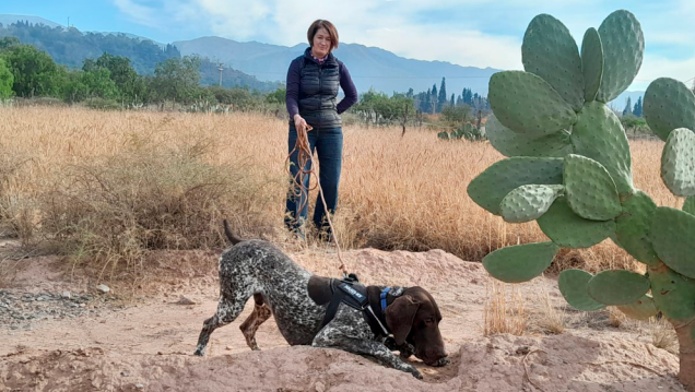 imagen Investigadora del Conicet Mendoza une conservación y salud pública mediante perros de detección
