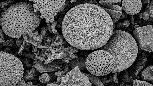 imagen Un equipo del Conicet desarrolló un dispositivo de uso doméstico para remover micro y nanoplásticos del agua