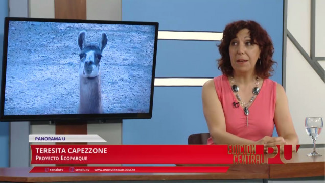 imagen Muertes de animales en el Zoo: "Es la primera vez que se investiga tan a fondo"
