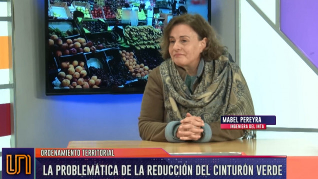 imagen La problemática del cinturón verde en Mendoza 