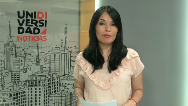 imagen Claves de la noticia: sigue la novela por el afiche de Vendimia