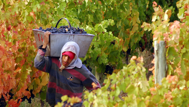 imagen Vendimia política: repaso del Desayuno de la Coviar y el Agasajo de Bodegas de Argentina