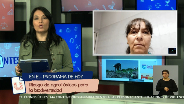imagen Qué riesgos corre la biodiversidad con el uso de agrotóxicos 