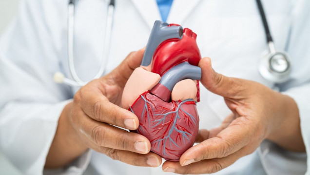 imagen Resaltan la importancia de la vacunación en la prevención de eventos cardiovasculares