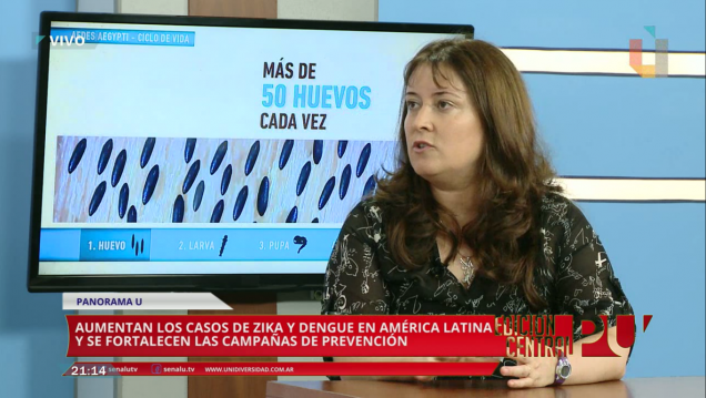 imagen ¿Cómo prevenimos el zika y el dengue?