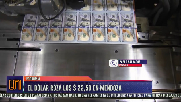 imagen El dólar roza los $22,50 en Mendoza
