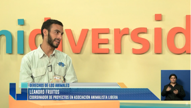imagen Tras los pasos de Cecilia: quieren trasladar elefantes del Zoo local a un santuario de Brasil