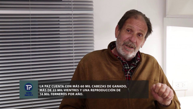 imagen TEORÍA PRÁCTICA | TEMPORADA 3 - CAPÍTULO 26: Ganadería en La Paz