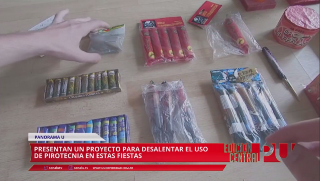 imagen Proyecto para desalentar el uso de pirotecnia