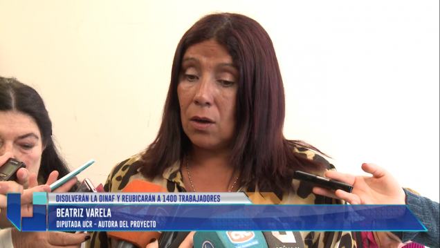 imagen DINAF: Detalles de la modificación de la norma