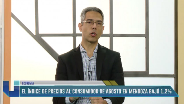 imagen COLUMNA FUNDACIÓN IDEAL - PABLO SALVADOR