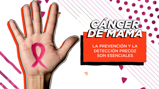 imagen Cáncer de mama: la importancia de la detección precoz
