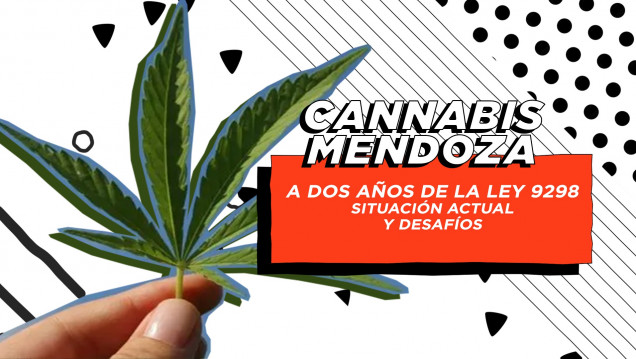 imagen Qué falta para que la industria del cannabis medicinal avance en Mendoza