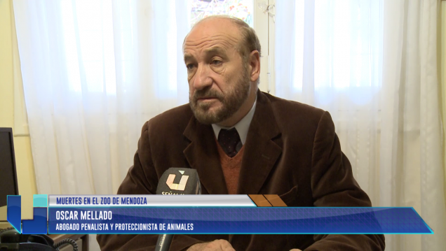 imagen Nuevo querellante se suma al proceso penal por el hipopótamo
