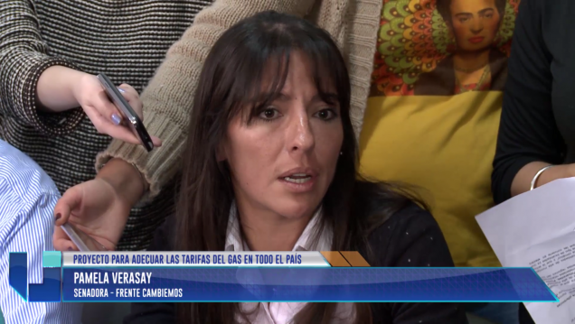 imagen Buscan adecuar las tarifas del gas en todo el país