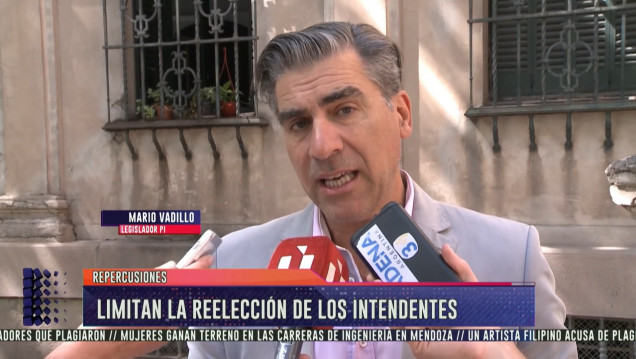 imagen Vadillo y el freno a la reelección de intendentes: "Es algo que todos pedíamos"