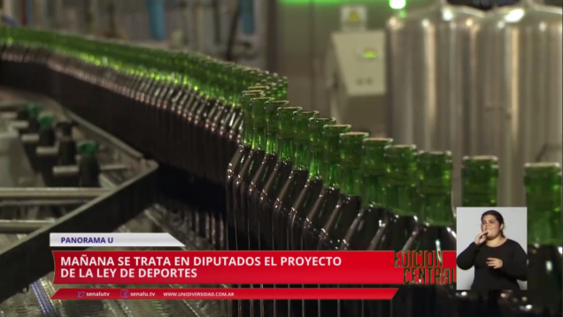 imagen Guillermo Carmona: Ley de Endeudamiento y Ley de Deportes