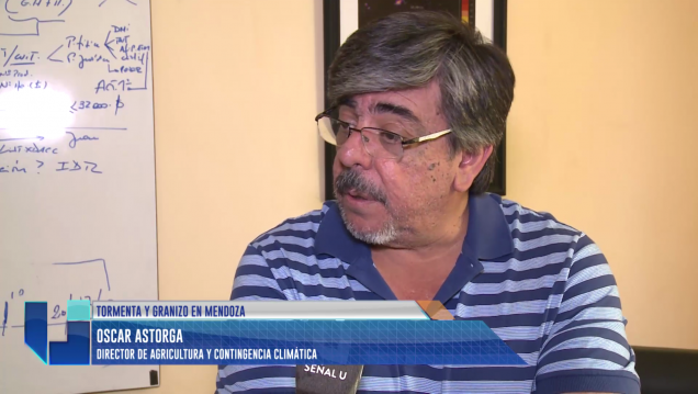 imagen El 30% de la vid fue afectada en el este y sur