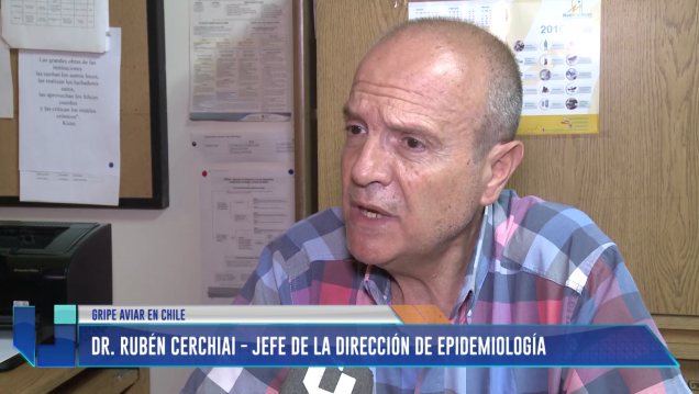 imagen ¿Qué es la gripe aviar?