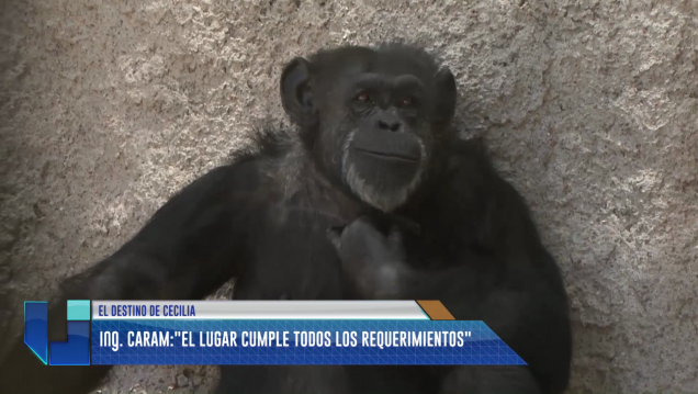 imagen El destino de Cecilia: "El lugar cumple todos los requerimientos"