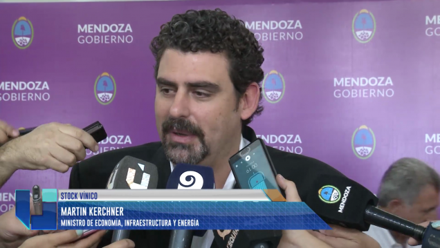 imagen Mendoza y San Juan destinarán el 14 % de la uva ingresada en bodega a diversificación