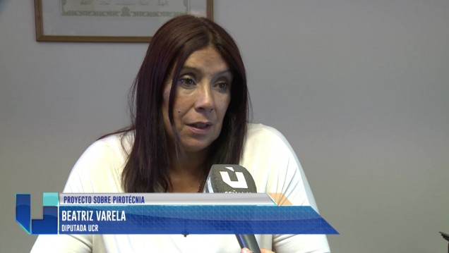 imagen El Gobierno quiere prohibir el uso de pirotecnia en Mendoza