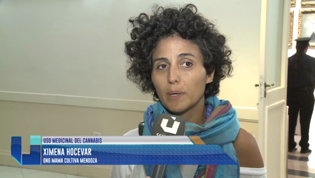 imagen Usuarios de cannabis medicinal no están conformes con lo aprobado en Diputados