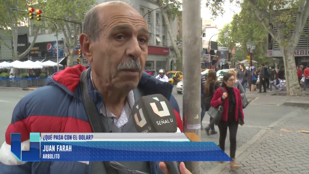 imagen Qué va a pasar con el dólar según un "arbolito" mendocino