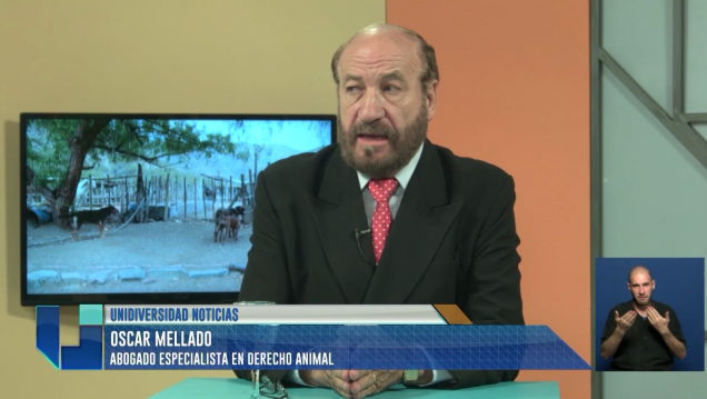 imagen Las penas por maltrato a los animales están desactualizadas