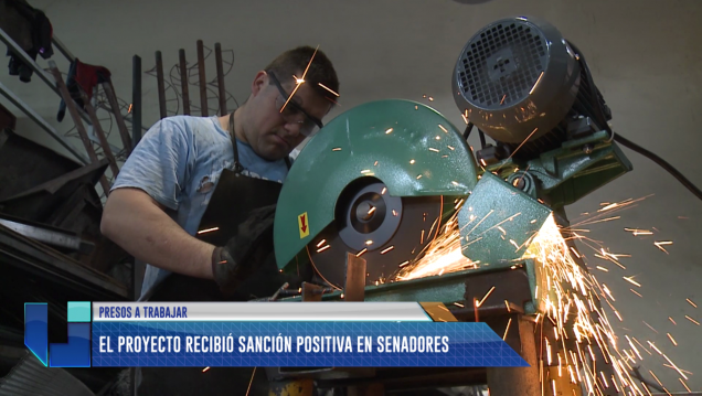 imagen Trabajo Carcelario: el proyecto obtuvo sanción inicial en Senadores