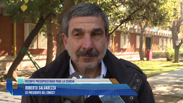 imagen Recorte a la ciencia: "este año ingresó 50 % menos de jóvenes investigadores"