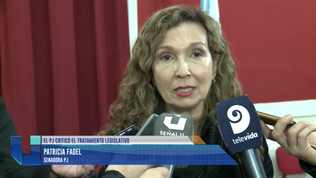 imagen Ordenamiento territorial: "El oficialismo tiene algún problema interno"