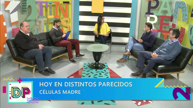 imagen DISTINTOS PARECIDOS | TEMPORADA 2 | PROGRAMA 32: Células Madre