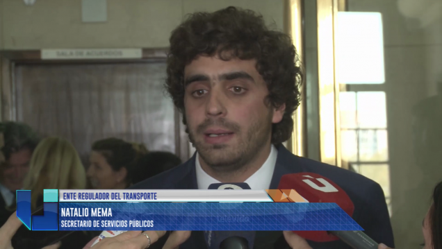 imagen Mema: "Necesitamos una ley nueva para la regulación"