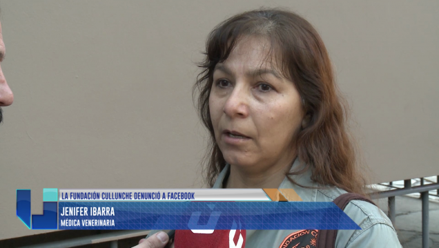 imagen La Fundación Cullunche denunció penalmente a Facebook