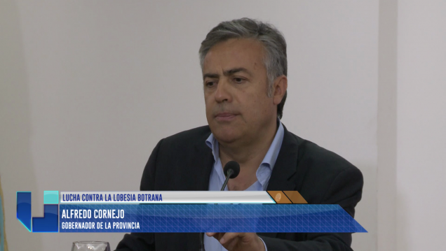 imagen Se redujo el 65 % la polilla de la vid