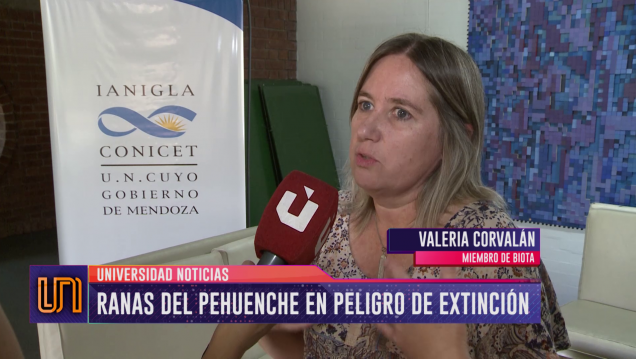 imagen Las ranas del Pehuenche están en peligro de extinción