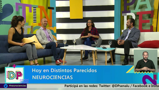 imagen Distintos Parecidos | Temporada 3 | Programa 016: Neurociencia