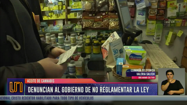 imagen Aceite de Cannabis: acusan al Gobierno de no reglamentar la ley