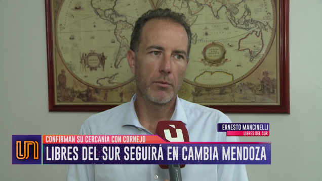 imagen Libres del Sur se declaró un partido feminista