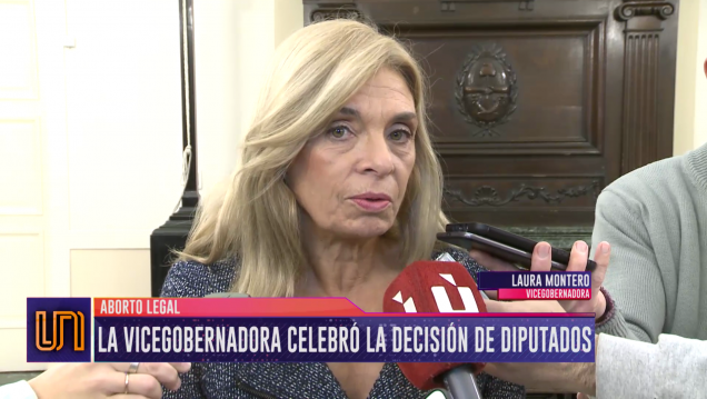 imagen Montero: "Estamos en deuda con el protocolo de aborto no punible"