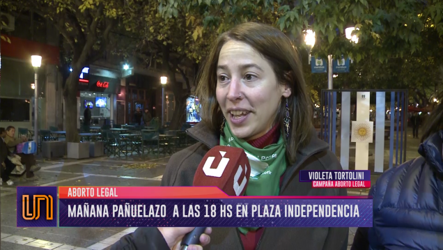 imagen Aborto legal: nuevo pañuelazo federal en Mendoza