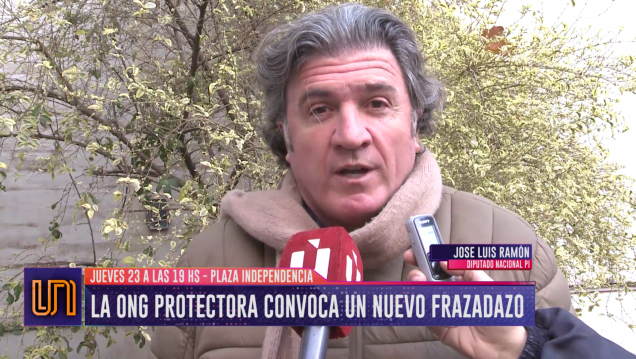 imagen La ONG Protectora convoca a un nuevo "frazadazo"