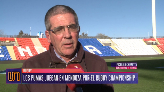 imagen Rugby Championship: en Mendoza, Los Pumas buscan vengarse de los Springboks