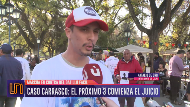 imagen Mendoza marchó contra el gatillo fácil