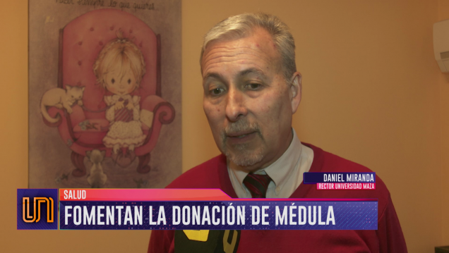 imagen Donar médula ósea, un método sencillo y sin riesgo