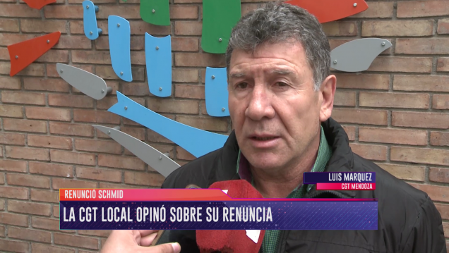 imagen Para la CGT local, la renuncia de Schmid es "un acto de grandeza"
