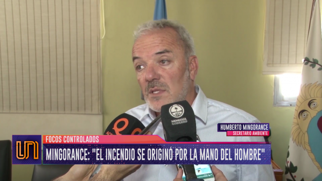 imagen Mingorance: "El incendio se originó por la mano del hombre"