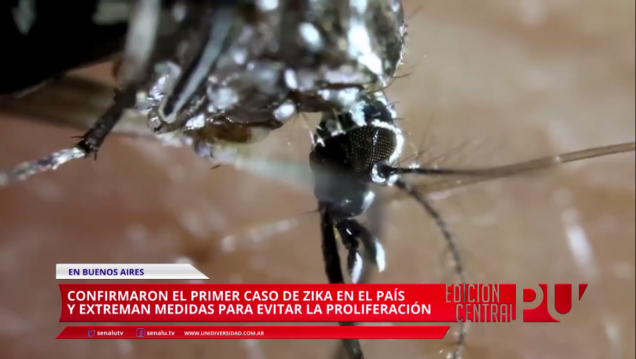 imagen Primer caso de Zika en el país