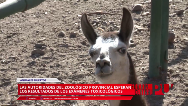 imagen Esperan resultados toxicológicos por muertes en el Zoo